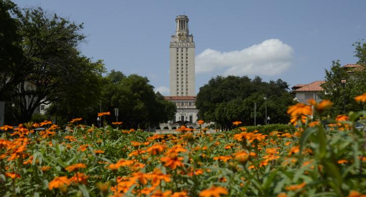 UT tower with orange flowers in the foreground